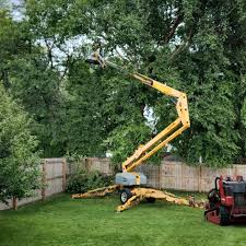 Best Tree Health Inspection  in East Berlin, PA
