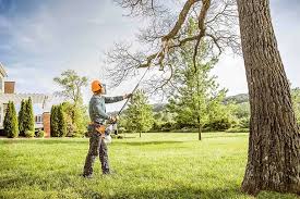 Best Lawn Disease Treatment  in East Berlin, PA