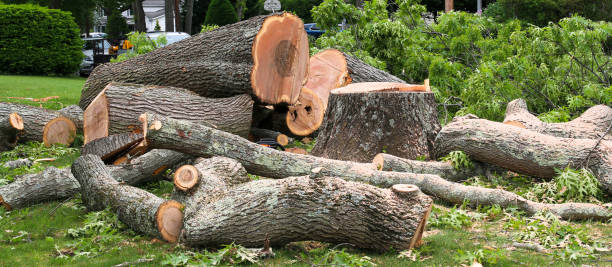 East Berlin, PA Tree Care Company